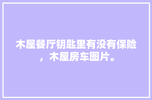 大菠萝代码这款游戏的编程魅力